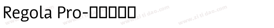 Regola Pro字体转换